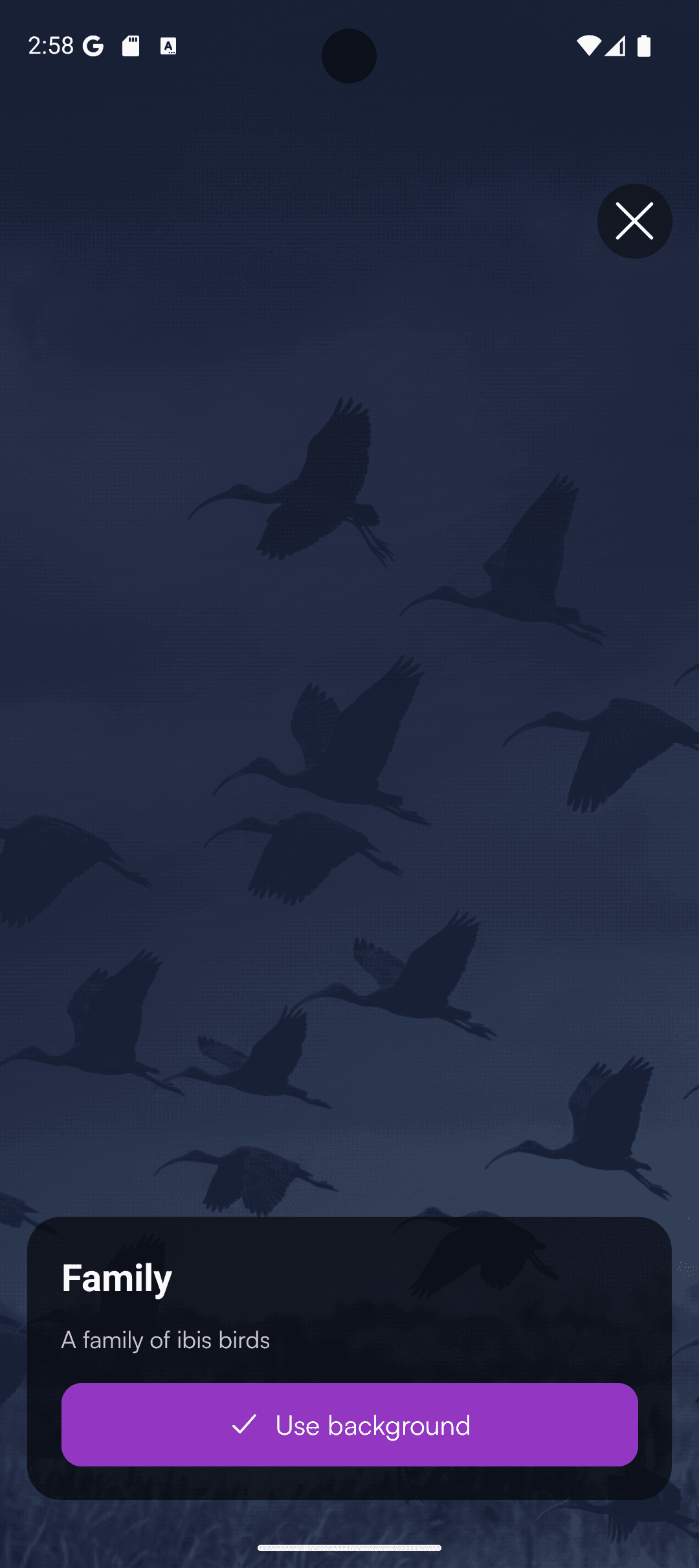 Background picker item with an unlock cost in Stars